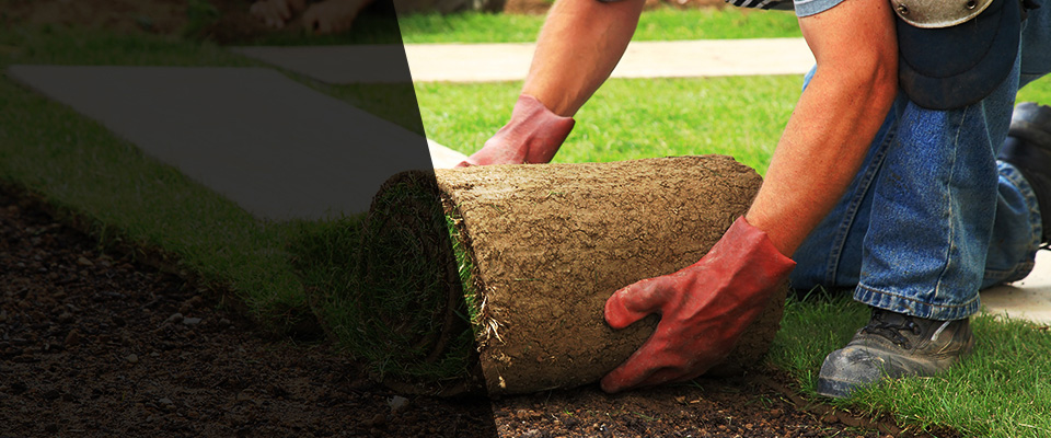 Lizella Landscapers
